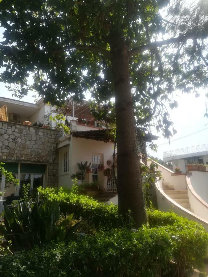 La Stanza Di Angi A Mondello Hotel Palermo Exterior foto