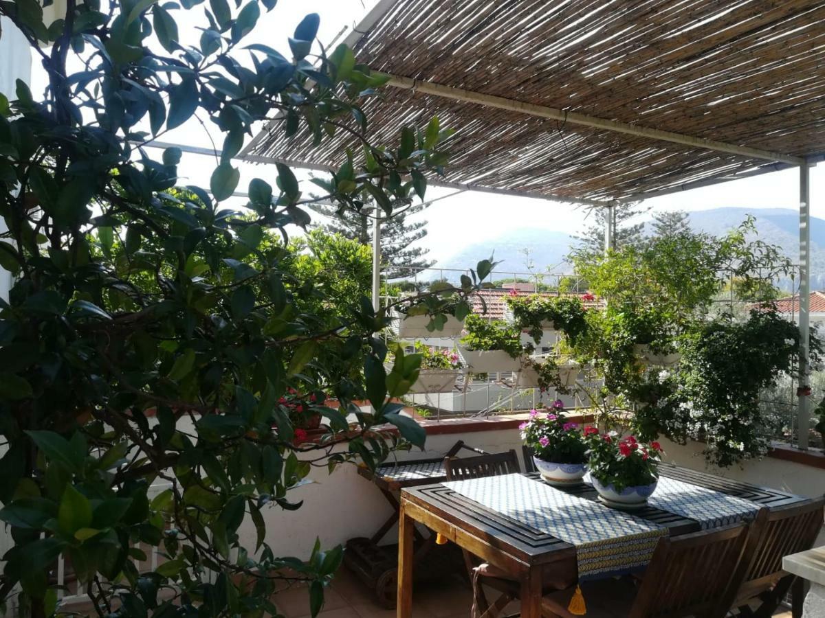 La Stanza Di Angi A Mondello Hotel Palermo Exterior foto